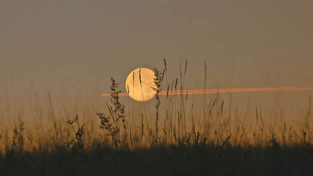 Mond über einer Wiese im Schattenriss