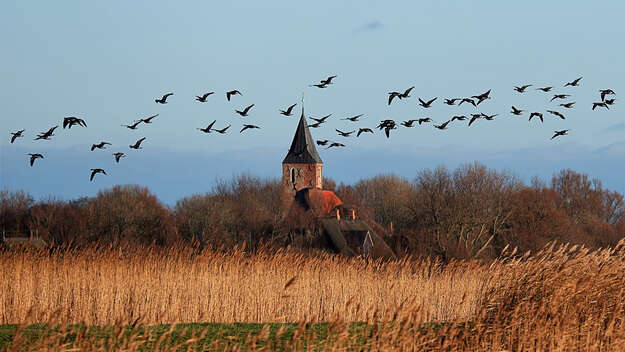 Fotowettbewerb Stiftung KiBa - St. Stephanus in Westerhever