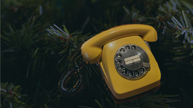 Telefonapparat vor Tannengrün