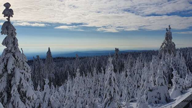 Winterlandschaft