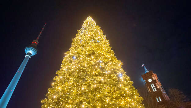 Beleuchteter Weihnachtsbaum