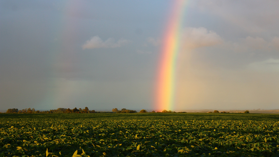 Symbolbild Regenbogen Symbolbild Regenbogen