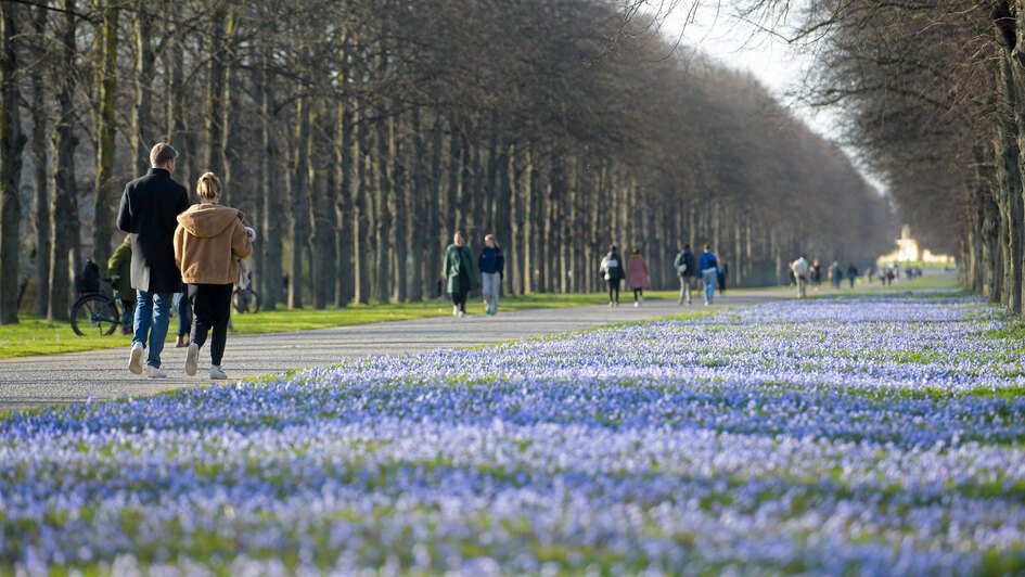 Osterspaziergang in der Natur