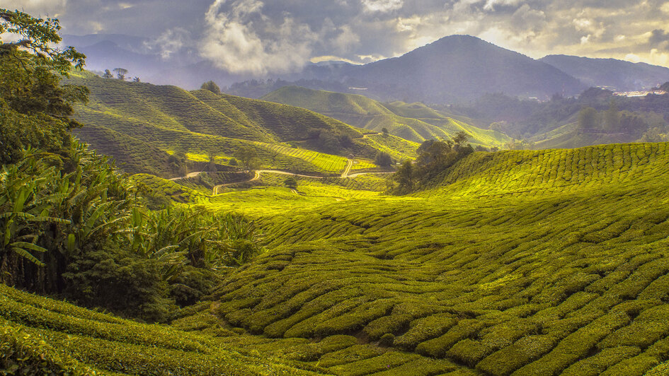 Landschaft in Asien