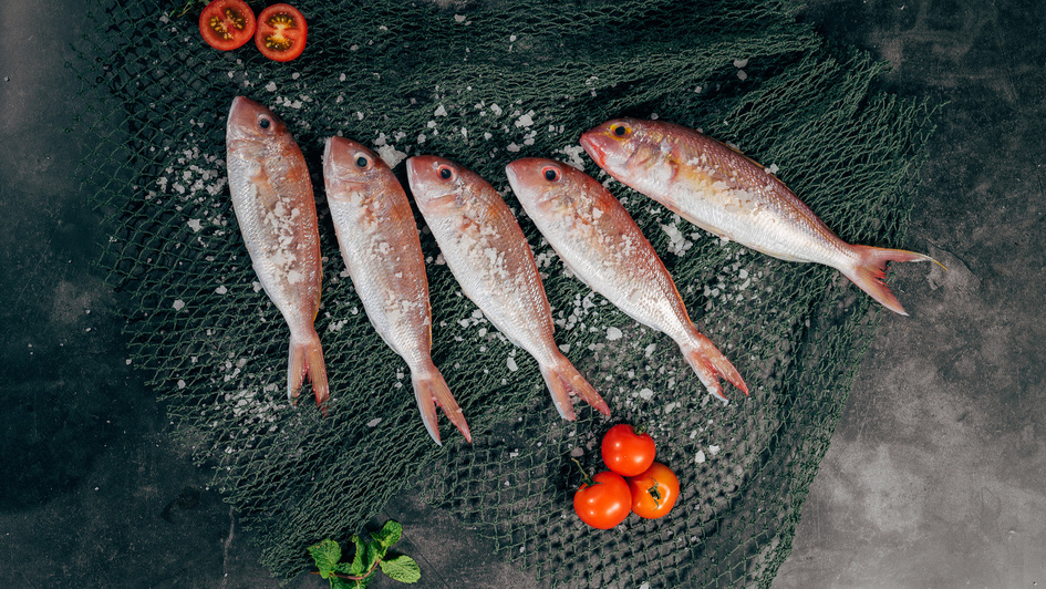 Fische auf einem Fischernetz