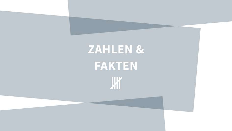 Grafik Zahlen und Fakten