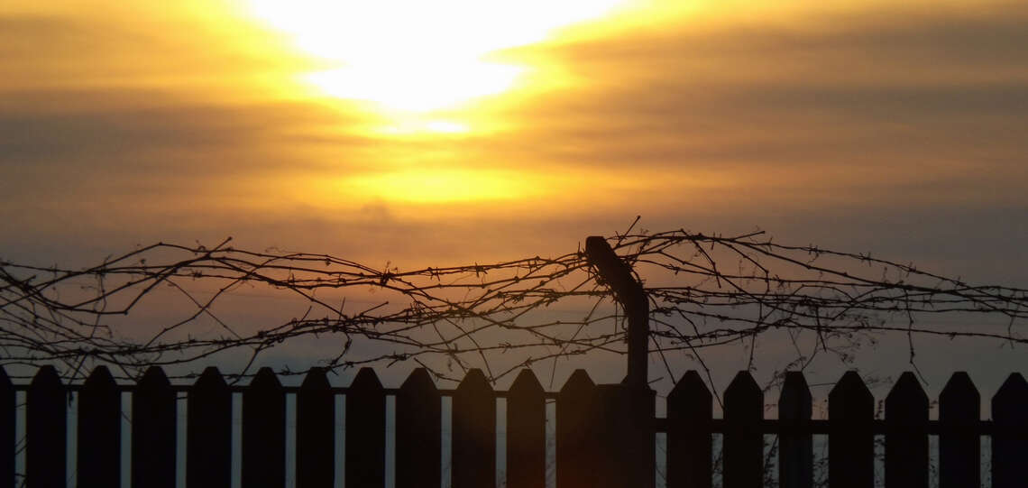 Stacheldraht vor Sonnenuntergang