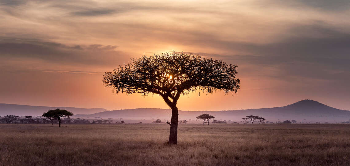 Symbolbild für den Kontinent Afrika