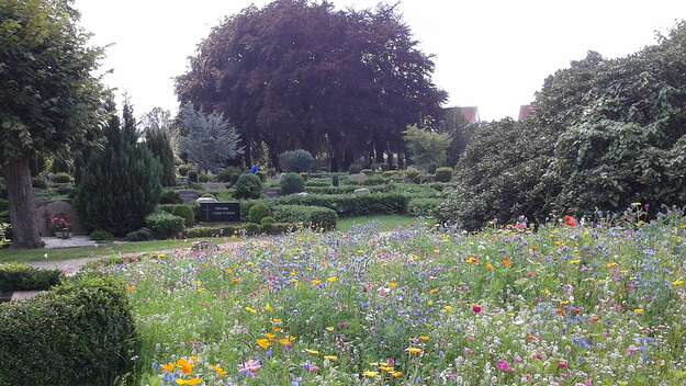 Friedhof mit Blumenwiese in Walsrode