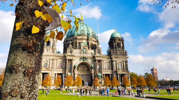 Friedenstaube im Baum vor dem Berliner Dom